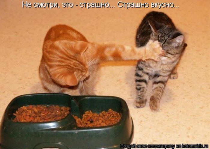 Мысли вслух :)