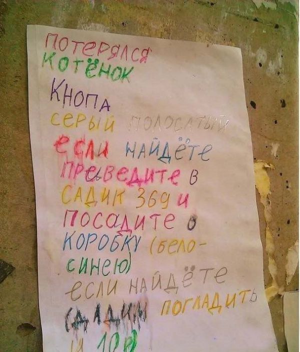 Самые теплые объявления и вывески (15 фото) Самые теплые объявления и вывески (15 фото)