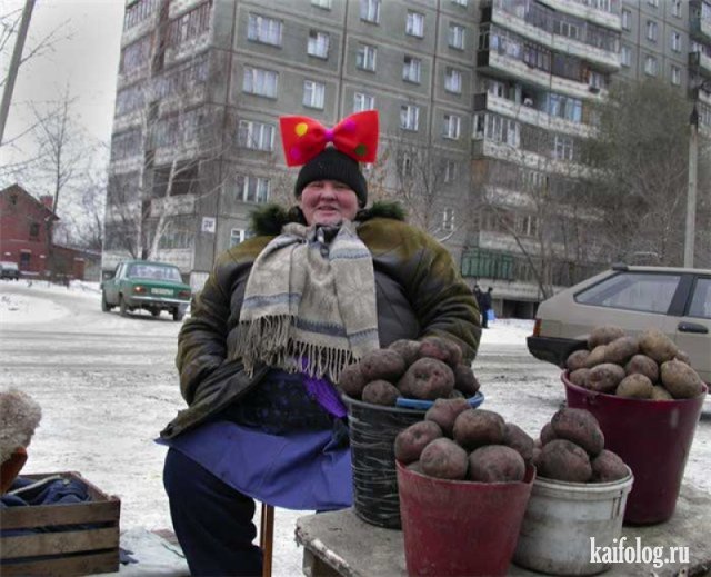 Картофельфест открыт (50 фото)