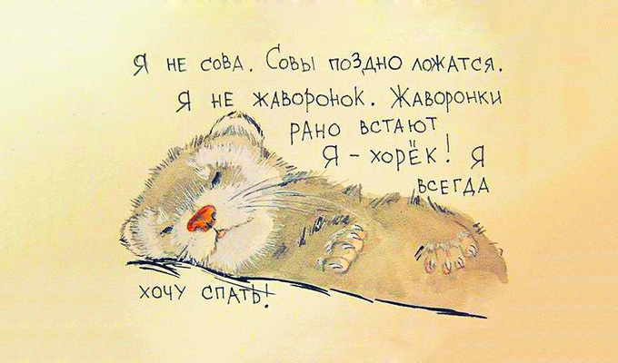 Любите спать? Тогда этот пост - для Вас! Любите спать? Тогда этот пост - для Вас!
