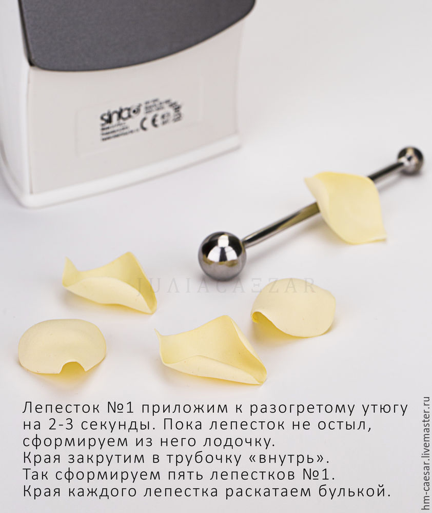 юлияцезарь юлияцезарь