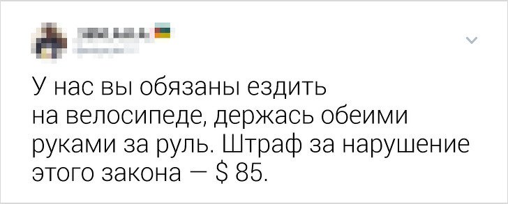 Жители разных стран рассказали, какие нелепые законы действуют у них (А мы постарались их объяснить)