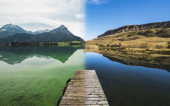 Фотографии-близнецы, сделанные в разных уголках планеты Фотографии-близнецы, сделанные в разных уголках планеты