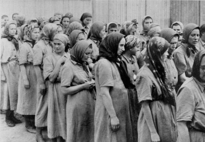Беременные женщины в лагере Освенцим. Беременные женщины в лагере Освенцим.