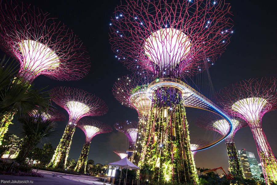 Сады у залива в Сингапуре – Gardens by the Bay