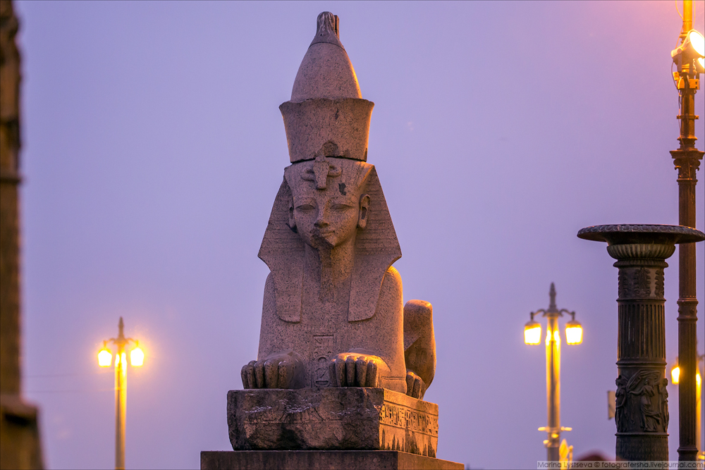 Q_Spb_1003 Q_Spb_1003