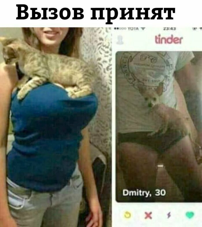Отличный челлендж Когда знаешь, что для тебя нет ничего невозможного
(15 фото + 3 гиф)