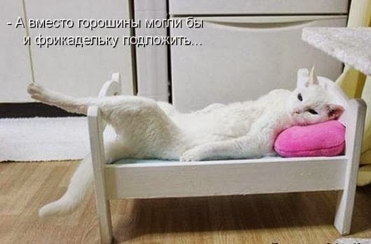 a9ffe7f4a92dd637ad4b1584a46_prev
