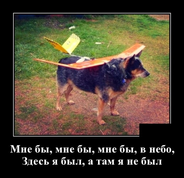 Демотиваторы Демотиваторы