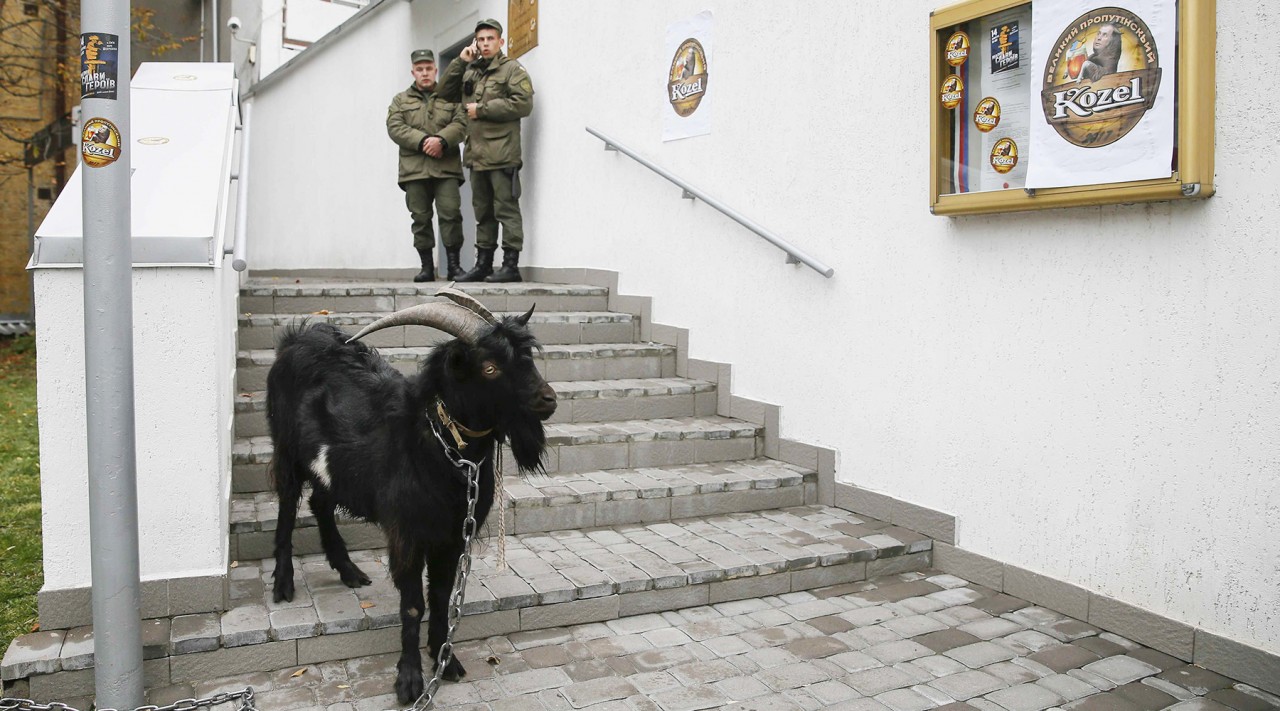«Крик из пещеры неандертальцев»: Прага раскритиковала нападки украинских политиков в адрес президента Чехии «Крик из пещеры неандертальцев»: Прага раскритиковала нападки украинских политиков в адрес президента Чехии