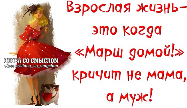 Возьмите меня с собой?! Возьмите меня с собой?!