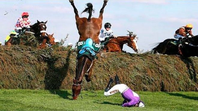 13 Жокеи и лошади тоже часто получают травмы знаменитости спорт спортсмены страшно фото