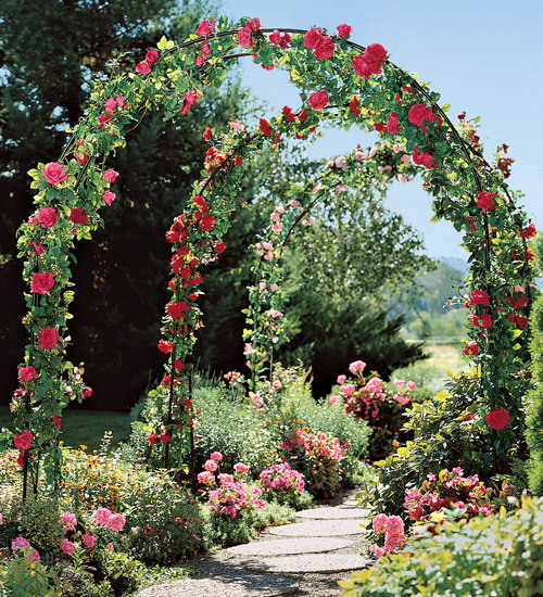 4497432_rosesingardenarchway4 (500x550, 168Kb)