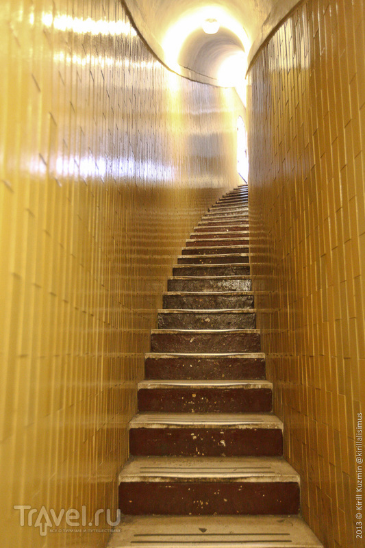 ���, �������. ������ / ���� �� ��������