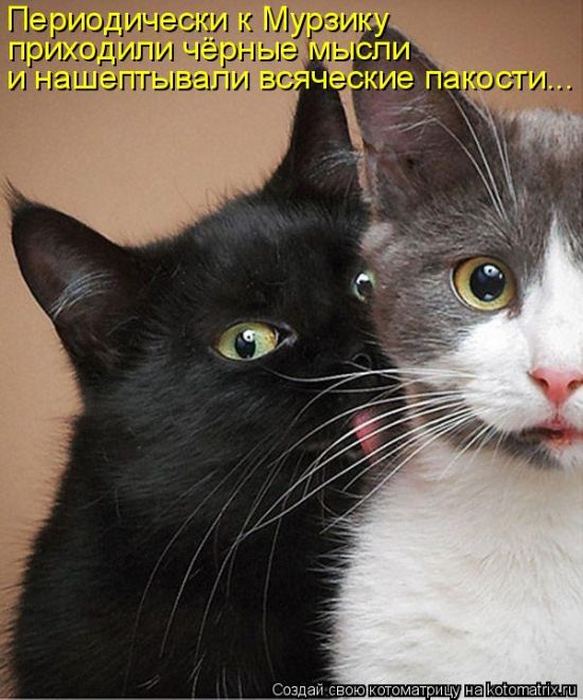 Мысли вслух :)