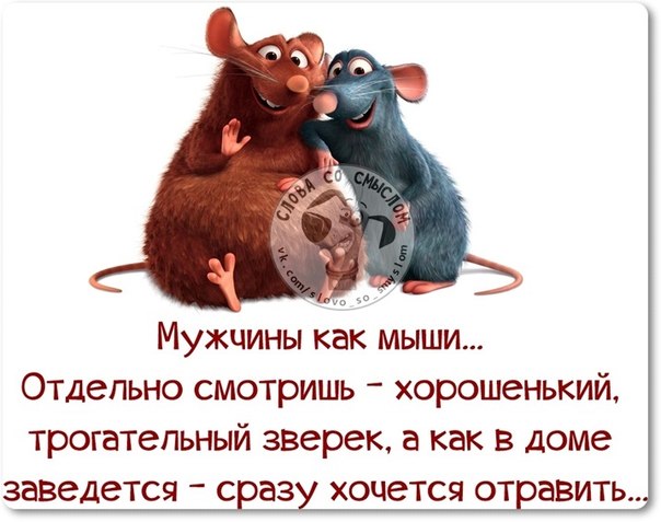 Шутки юмора афоризмы приколы Шутки юмора афоризмы приколы