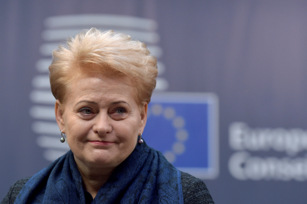 Грибаускайте заявила о российской угрозе европейским столицам Грибаускайте заявила о российской угрозе европейским столицам