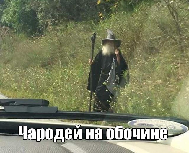 Подборка прикольных фото (100 фото)