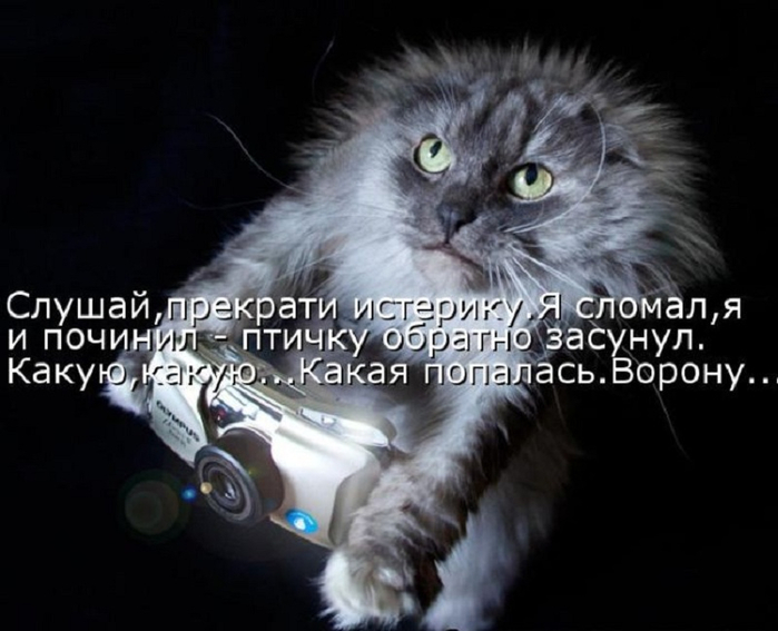 7430897zxt (700x567, 234Kb)