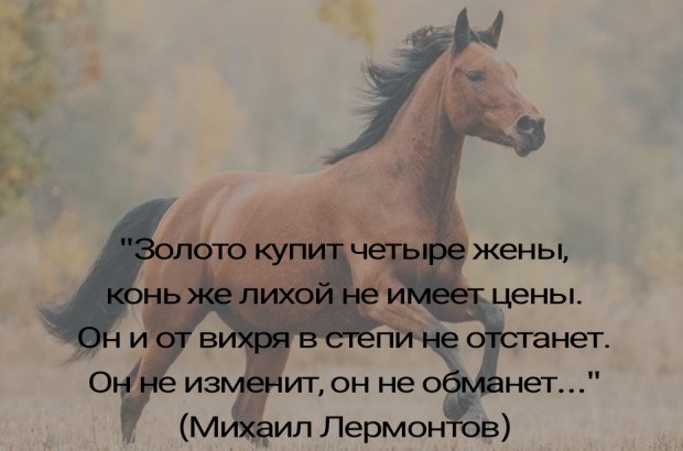 Стихи про лошадь