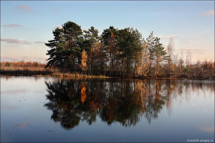 Улыбка ноября