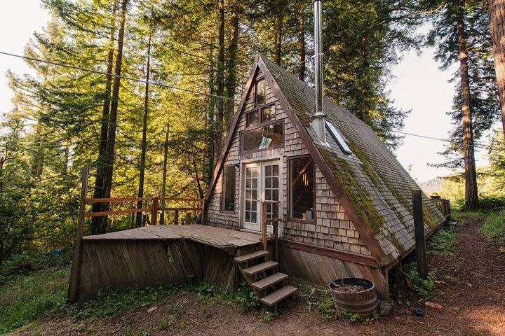 Этот маленький домик похож на крышу посреди леса. Но не спешите с выводами!