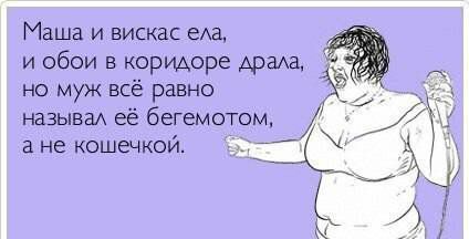 Пришла смска на телефон... Пришла смска на телефон...
