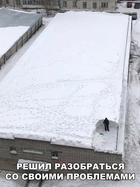 Свежая порция прикольных фотомемов (25 шт) Свежая порция прикольных фотомемов (25 шт)