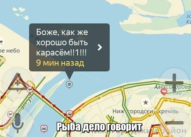 Подборка картинок Подборка картинок