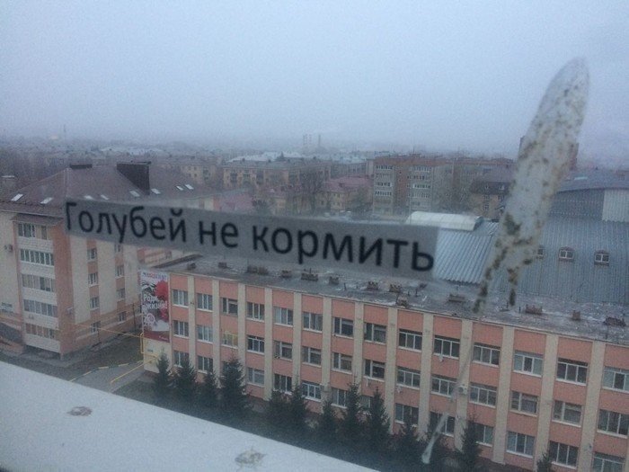 Совпадения? Шо, опять?! Совпадения? Шо, опять?!