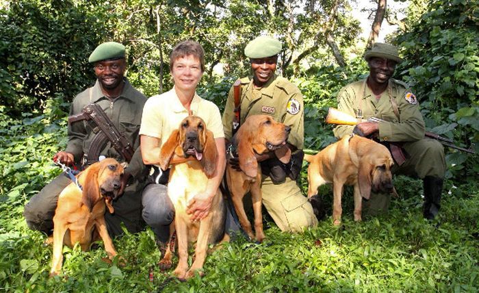 животные, героизм