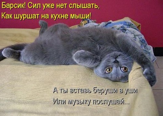 979c74385239c6bb3e808e9d727_prev