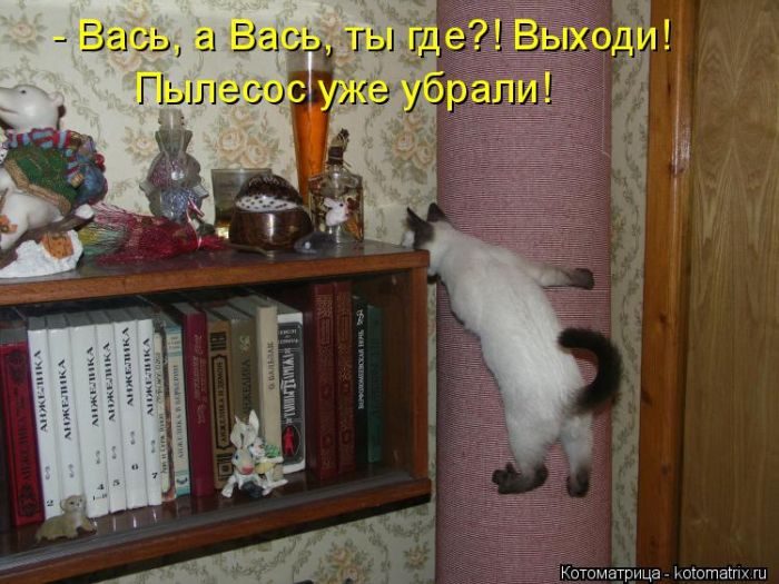 Лучшие котоматрицы, которые зарядят вас позитивом) Лучшие котоматрицы, которые зарядят вас позитивом)