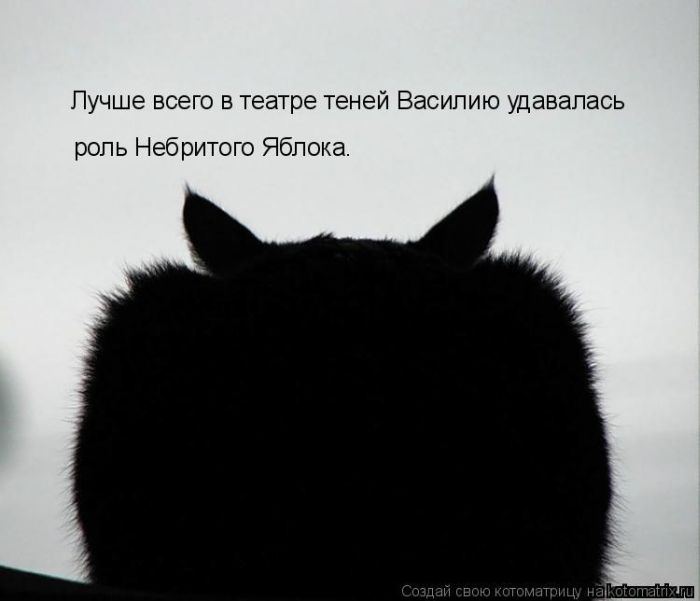 Мысли вслух :)