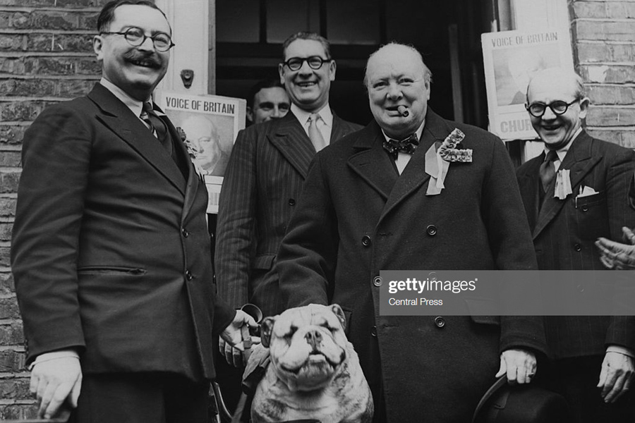 Churchill-Bulldog Churchill-Bulldog