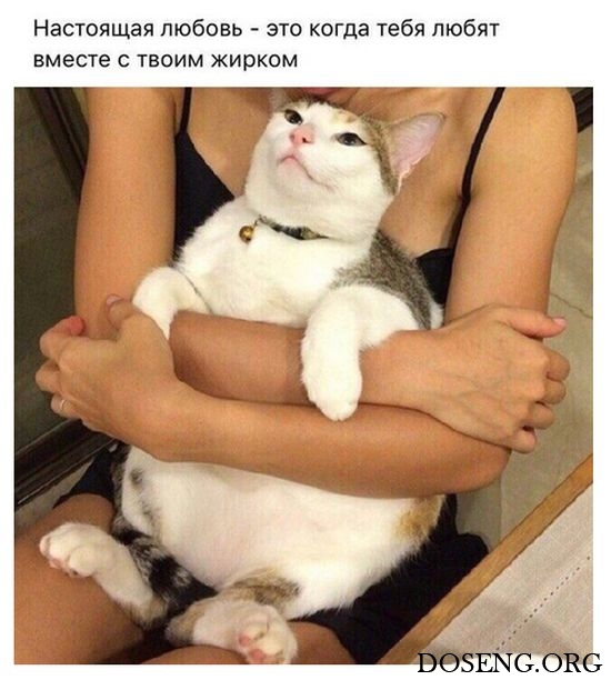 Прикольные картинки Прикольные картинки