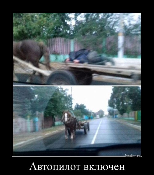 Свежие демотиваторы для настроения (20 шт) Свежие демотиваторы для настроения (20 шт)