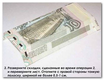 Предлагаем вам поселить в своем бумажнике такого замечательного, приносящего удачу жителя