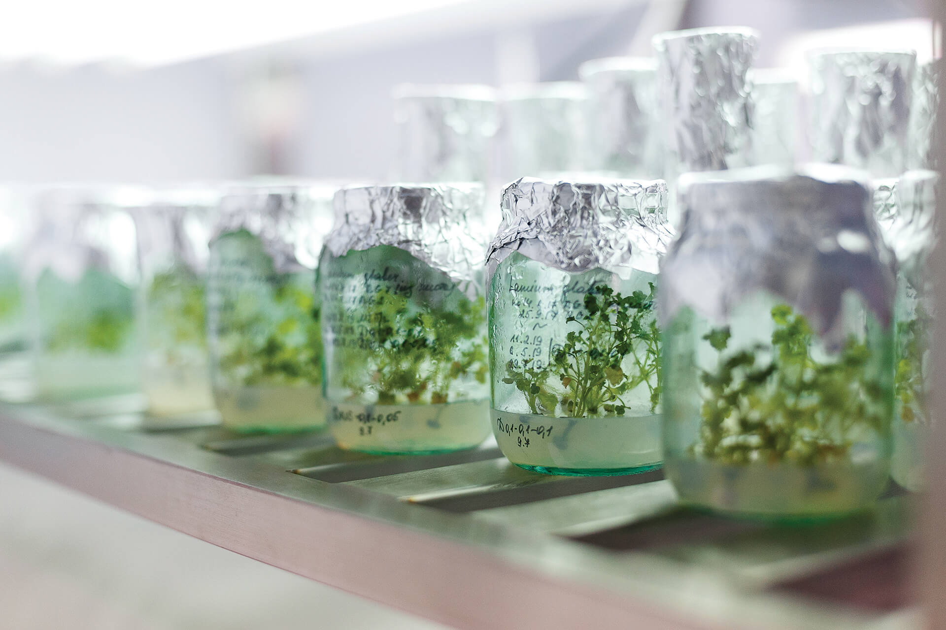 Анализ крови позволит прогнозировать повреждение сердца и сосудов при химиотерапии