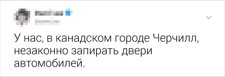 Жители разных стран рассказали, какие нелепые законы действуют у них (А мы постарались их объяснить)