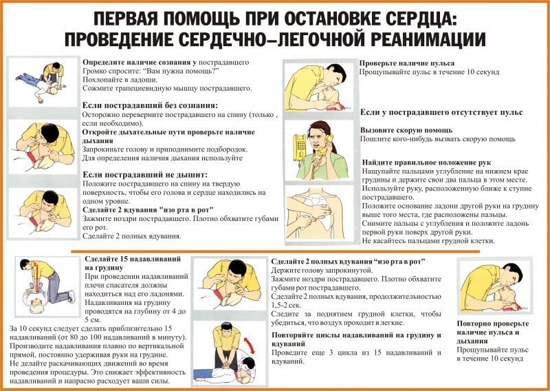 Первая помощь Первая помощь врач, кардиолог, медицина, остановка сердца, первая помощь, скорая, терапия