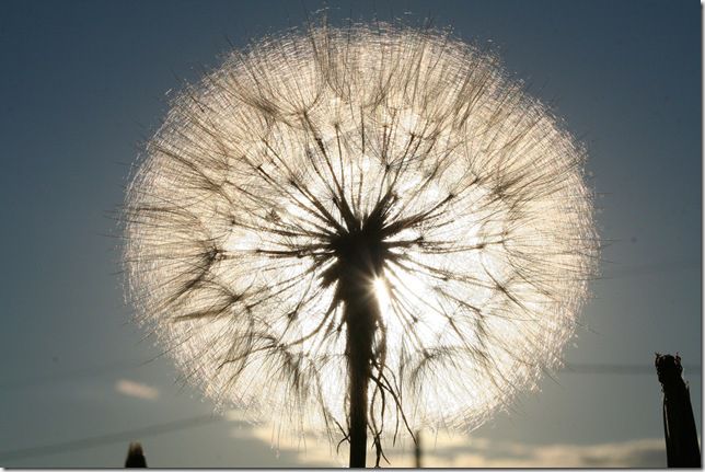 факты, космос