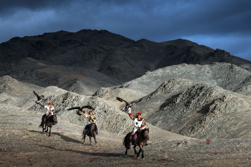 Традиционная монгольская охота с беркутом