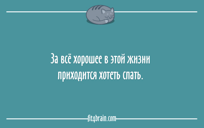 Любите спать? Тогда этот пост - для Вас! Любите спать? Тогда этот пост - для Вас!