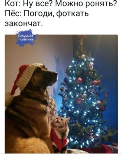 962d5bfd21f7.jpg