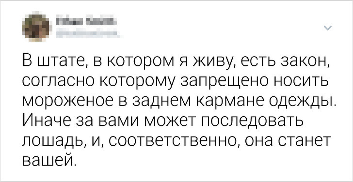 Жители разных стран рассказали, какие нелепые законы действуют у них (А мы постарались их объяснить)