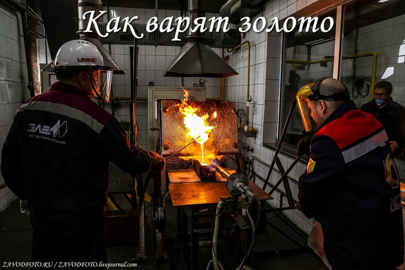 Как варят золото.jpg Как варят золото.jpg
