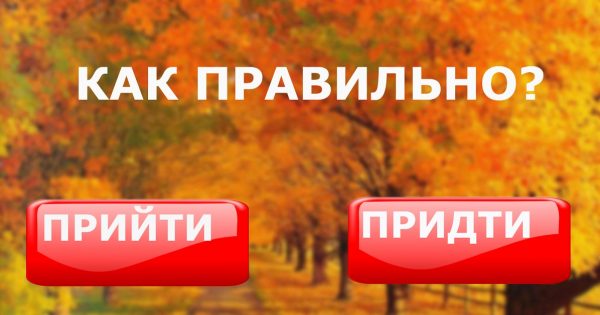 thumb-600x315 (5)