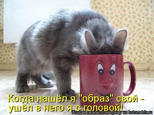 53fd2f300222630fba93f809346_prev