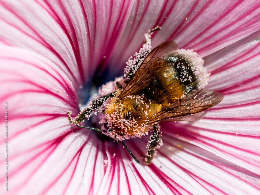 05 05
